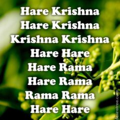 Hare Krishna Maha Mantra 278