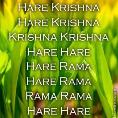 Hare Krishna Maha Mantra 280