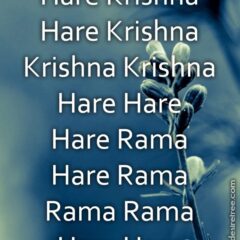 Hare Krishna Maha Mantra 281