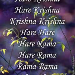 Hare Krishna Maha Mantra 282