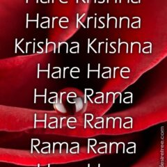 Hare Krishna Maha Mantra 293