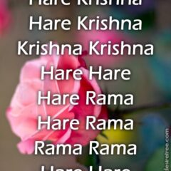 Hare Krishna Maha Mantra 295