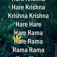 Hare Krishna Maha Mantra 305