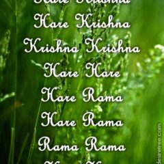 Hare Krishna Maha Mantra 307