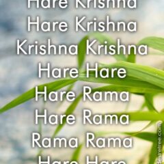 Hare Krishna Maha Mantra 308