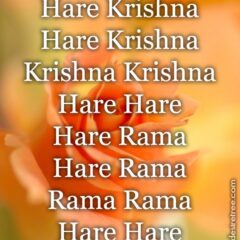 Hare Krishna Maha Mantra 312