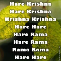 Hare Krishna Maha Mantra 317