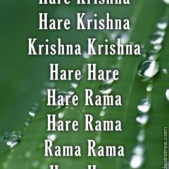 Hare Krishna Maha Mantra 319