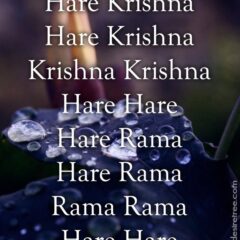 Hare Krishna Maha Mantra 320