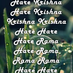 Hare Krishna Maha Mantra 324