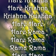 Hare Krishna Maha Mantra 325