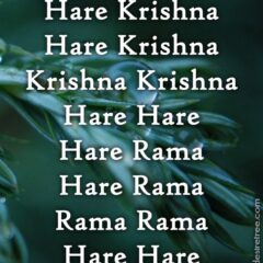 Hare Krishna Maha Mantra 326