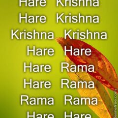 Hare Krishna Maha Mantra 332