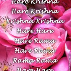 Hare Krishna Maha Mantra 343