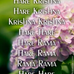 Hare Krishna Maha Mantra 361