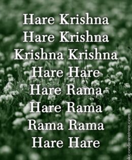 Hare Krishna Maha Mantra 406