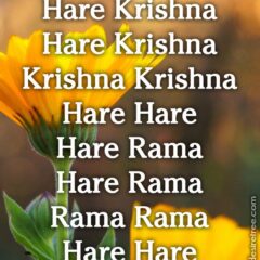 Hare Krishna Maha Mantra 409