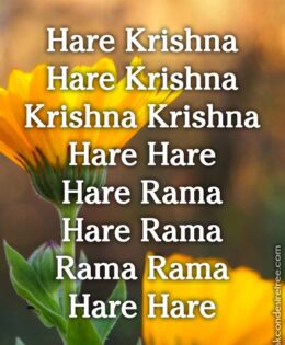 Hare Krishna Maha Mantra 409