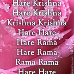 Hare Krishna Maha Mantra 411