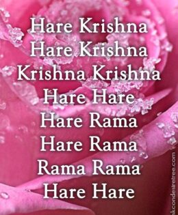 Hare Krishna Maha Mantra 411