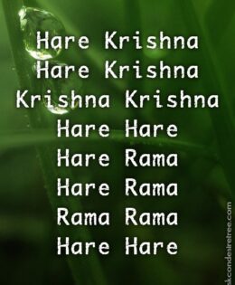 Hare Krishna Maha Mantra 419