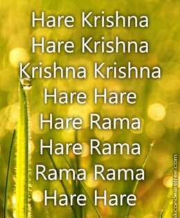 Hare Krishna Maha Mantra 424