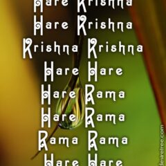 Hare Krishna Maha Mantra 425