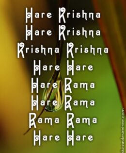 Hare Krishna Maha Mantra 425