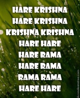 Hare Krishna Maha Mantra 426