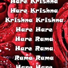 Hare Krishna Maha Mantra 427