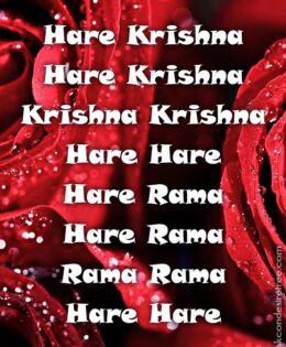 Hare Krishna Maha Mantra 427