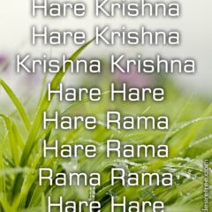 Hare Krishna Maha Mantra 428