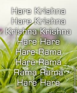 Hare Krishna Maha Mantra 428