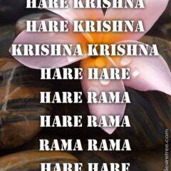 Hare Krishna Maha Mantra 429