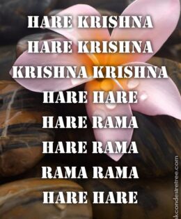 Hare Krishna Maha Mantra 429