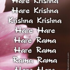 Hare Krishna Maha Mantra 430