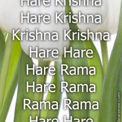 Hare Krishna Maha Mantra 432