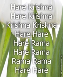 Hare Krishna Maha Mantra 432