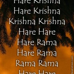 Hare Krishna Maha Mantra 434