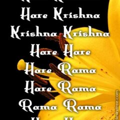 Hare Krishna Maha Mantra 435