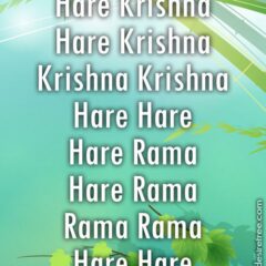 Hare Krishna Maha Mantra 439