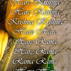 Hare Krishna Maha Mantra 441