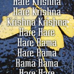 Hare Krishna Maha Mantra 442