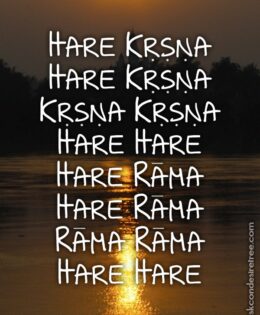 Hare Krishna Maha Mantra 459