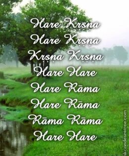 Hare Krishna Maha Mantra 460