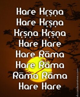 Hare Krishna Maha Mantra 462