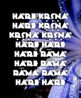 Hare Krishna Maha Mantra 463