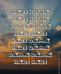 Hare Krishna Maha Mantra 464