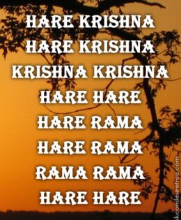 Hare Krishna Maha Mantra 466