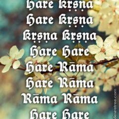 Hare Krishna Maha Mantra 475